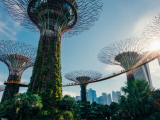 Gardens by the Bay – Supertree Grove